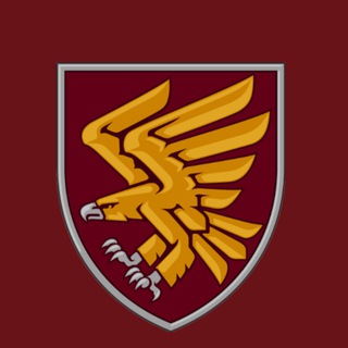 95 окрема десантно-штурмова Поліська бригада