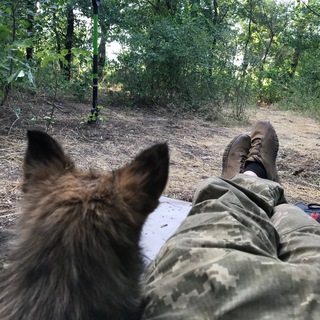 Заберіть у Ліпка РПГ